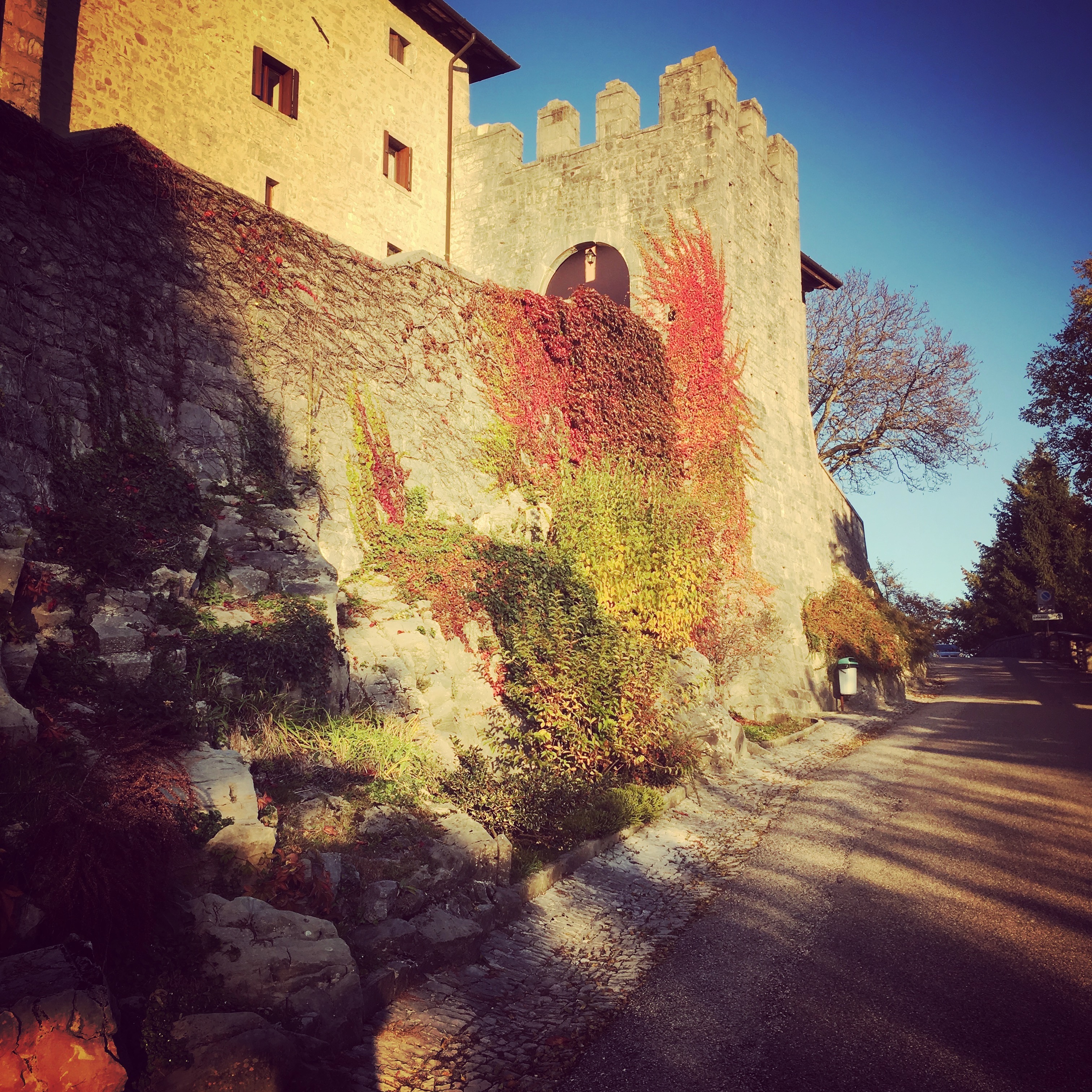 image of part of the walls of Castelmonte sanctuary taken in october 2016 with ivy turning red